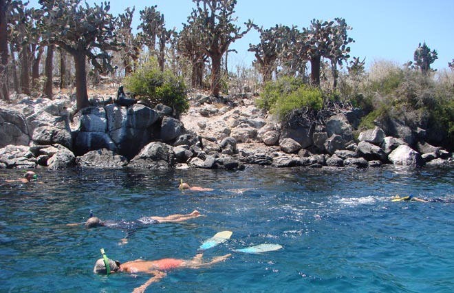 Swimming with sea-lions © BW Media